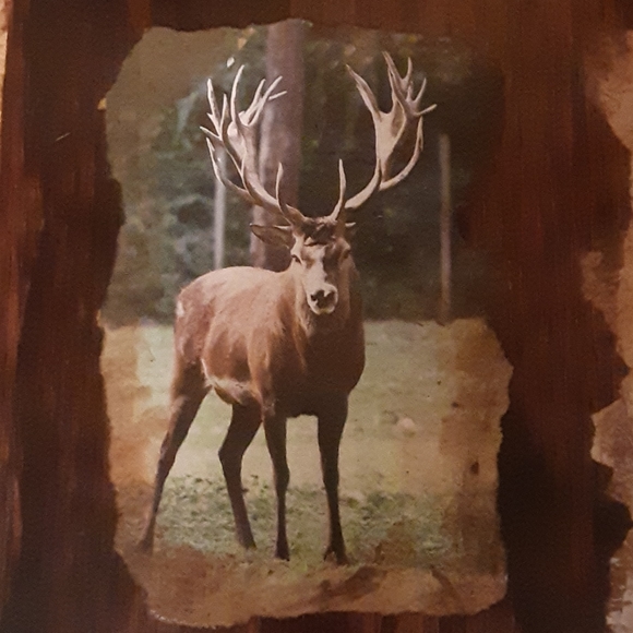 Art, "For The Man In Your Life". 12 1/2" x 10" x1" - Picture 2 of 4